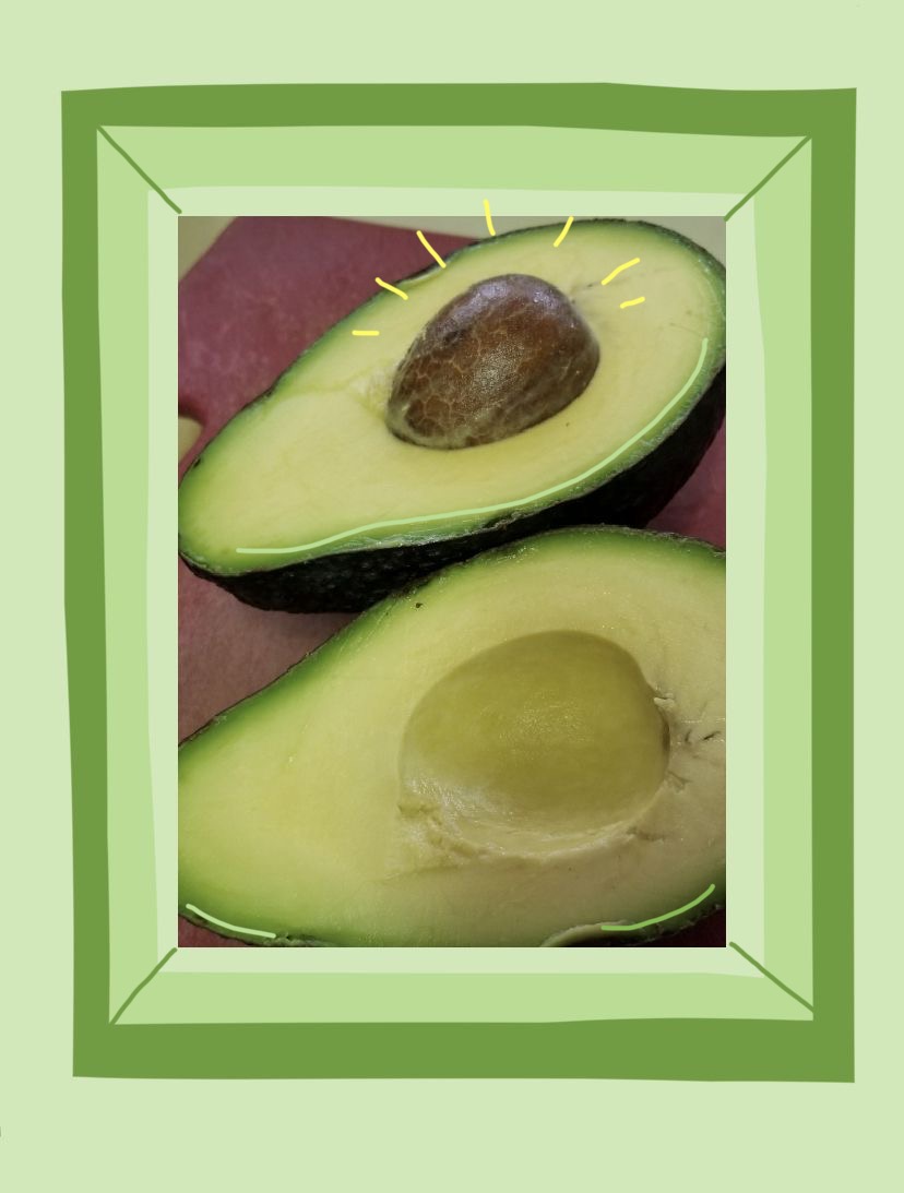 avocados cut in half