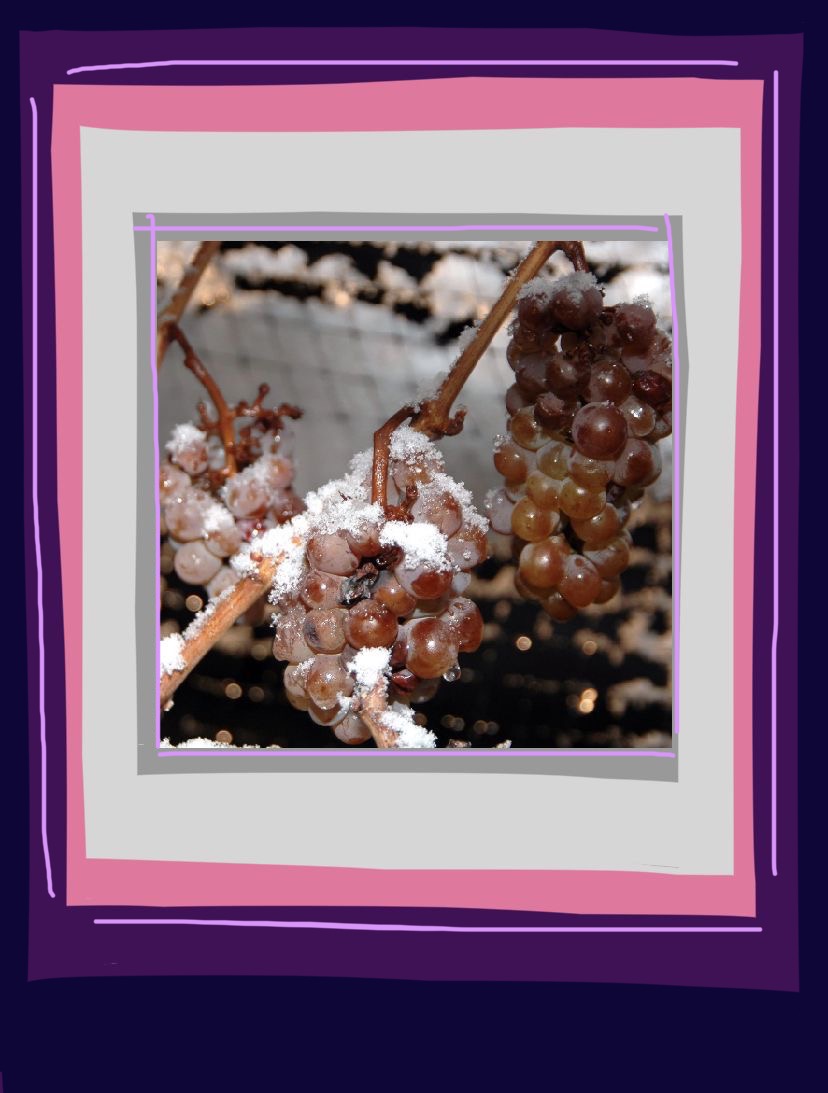 frozen grapes