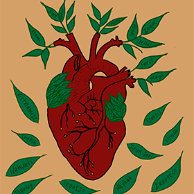 An illustrated heart