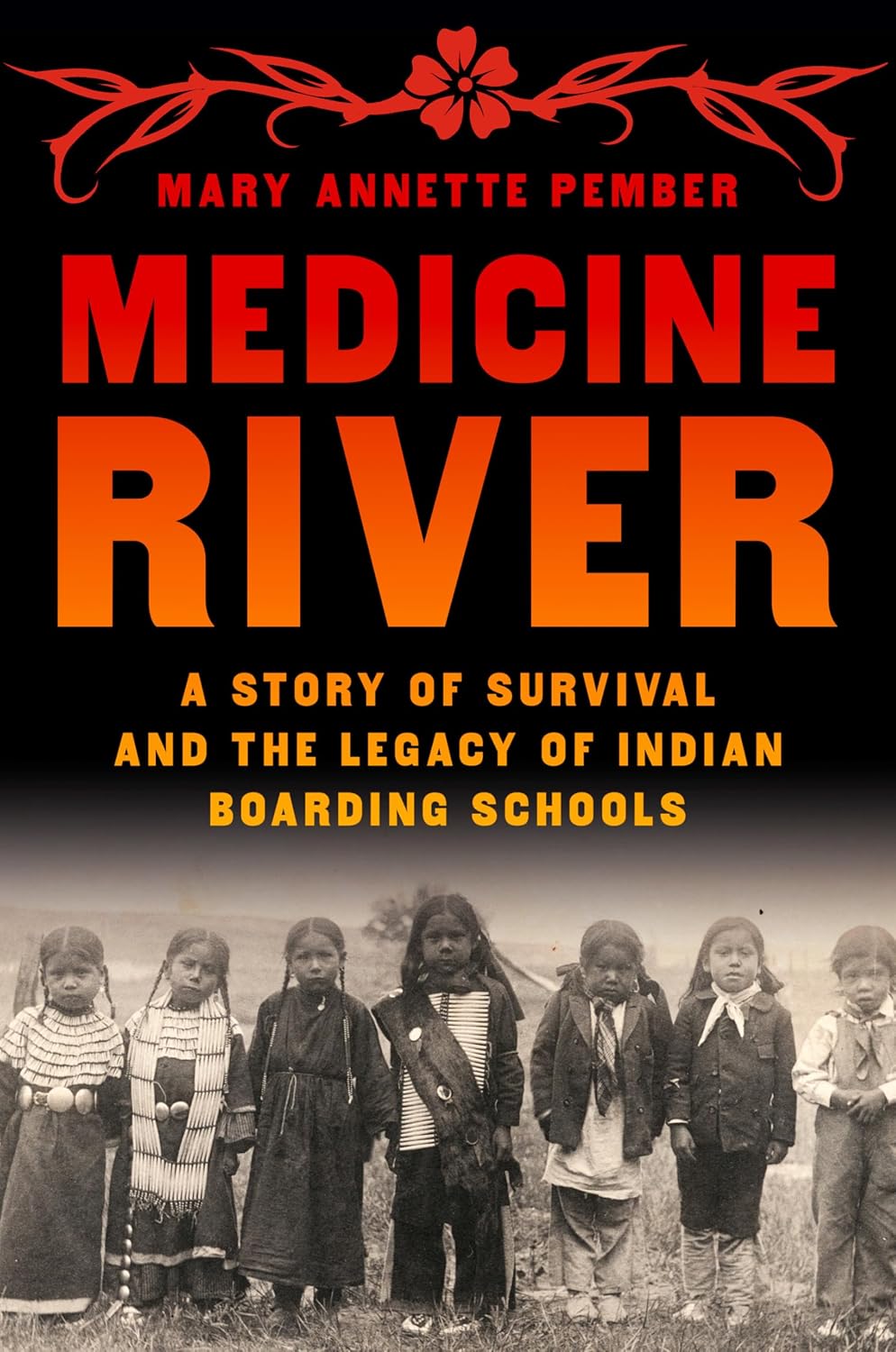 book cover for Medicine River