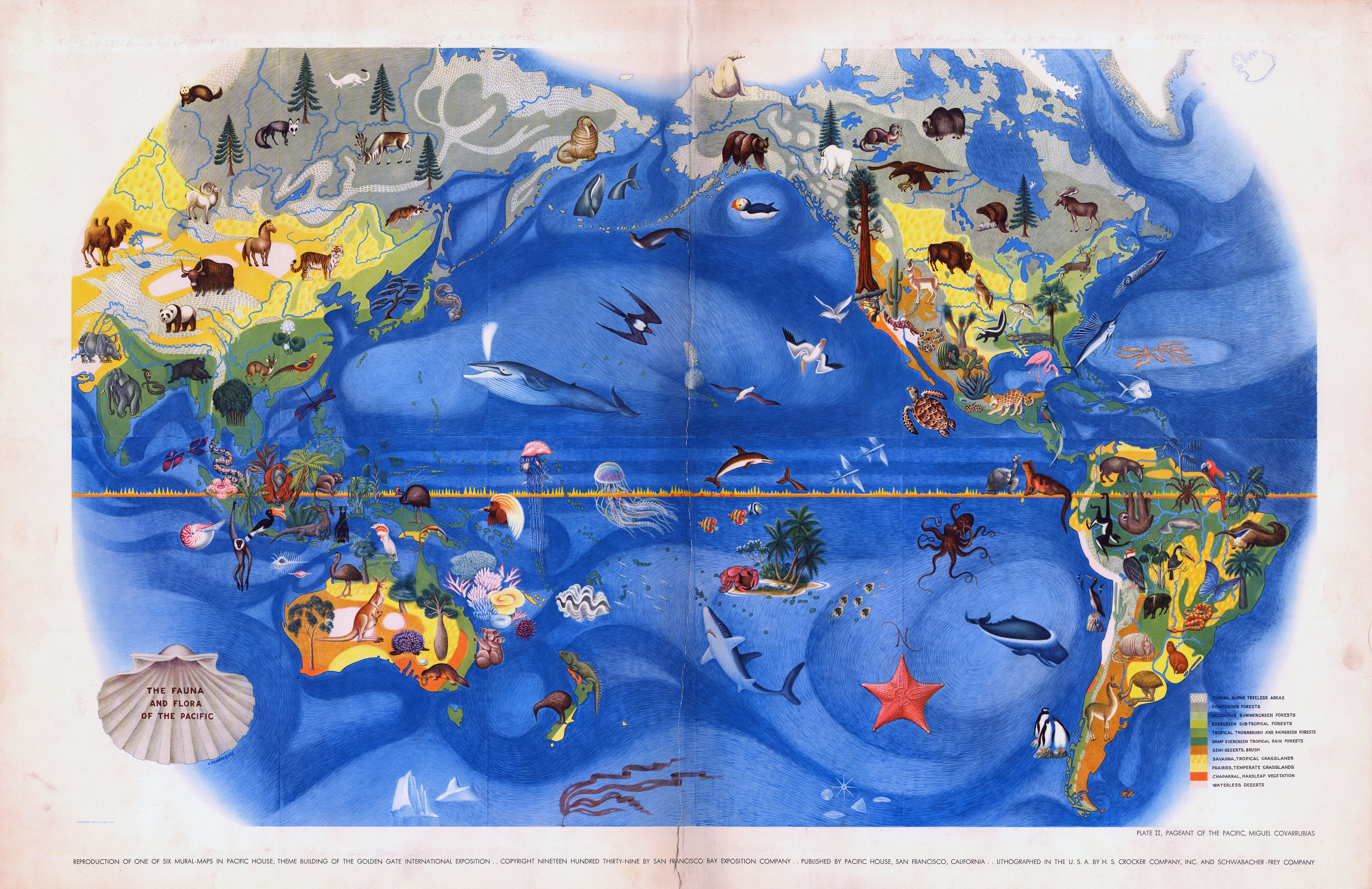 Pictorial Map: Fauna and Flora of the Pacific