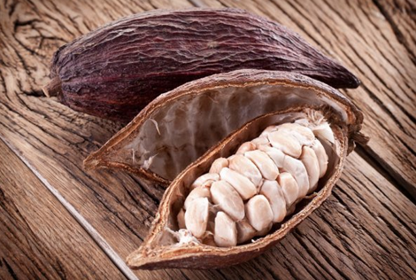 cacao beans and fruit