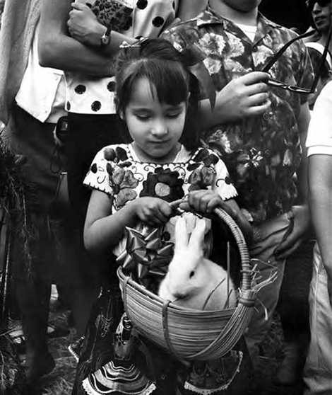 Girl with rabbit in basket