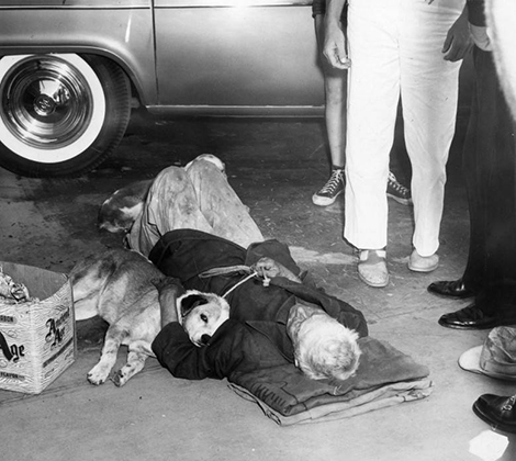 Dog hovers over heat victim