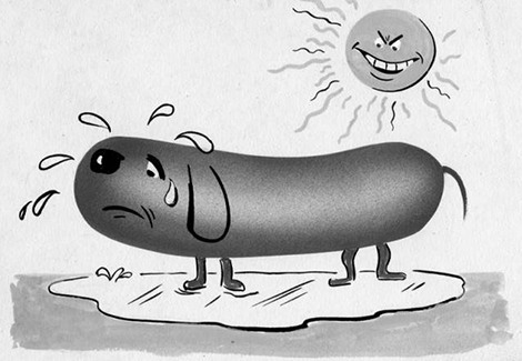 drawing of a sweating hot dog