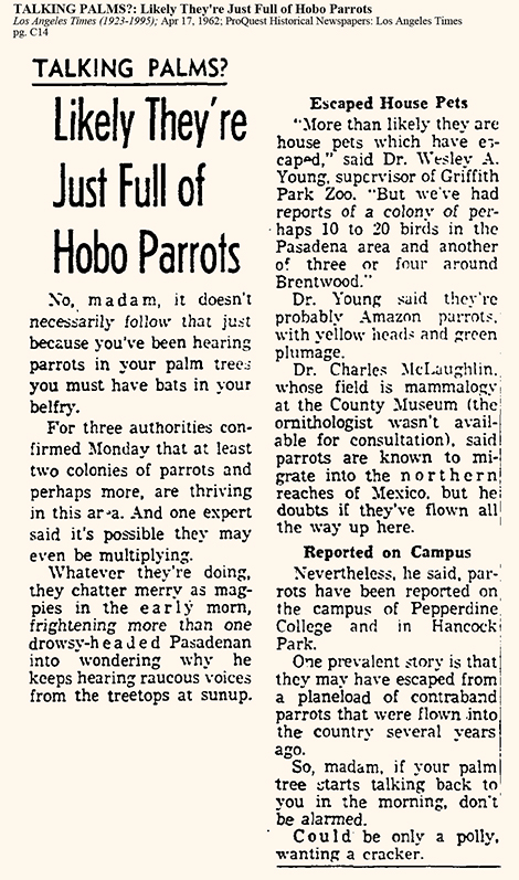 newspaper article from 1962