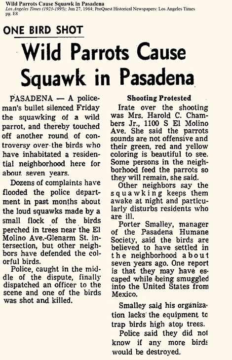 vintage newspaper article