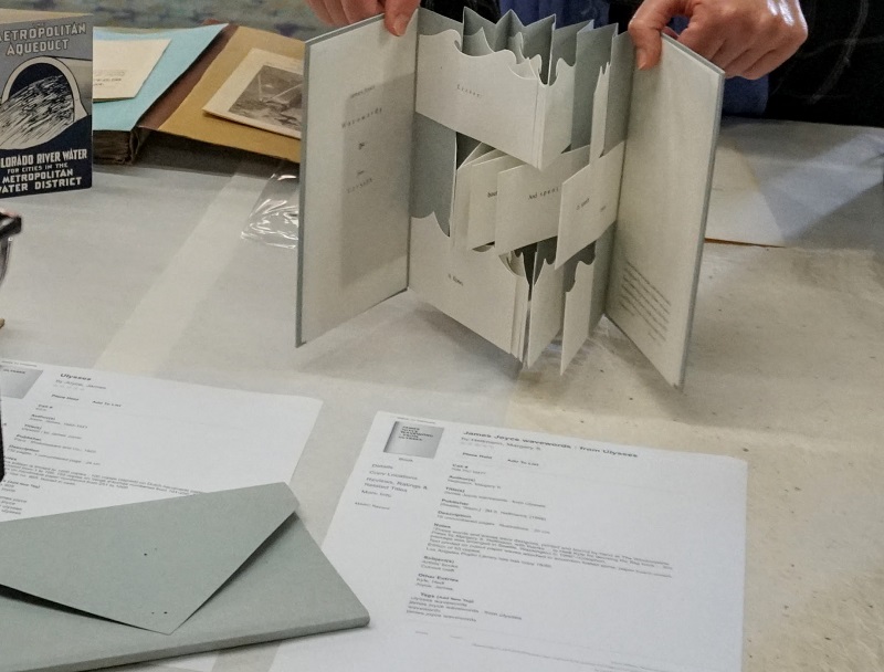 artists’ book entitled Wavewords