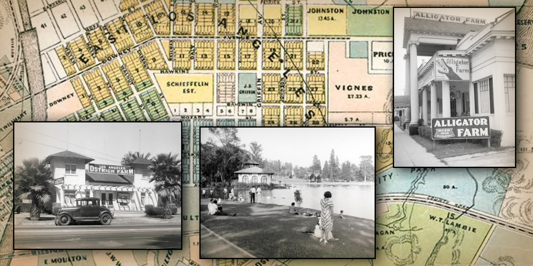 California Alligator Farm