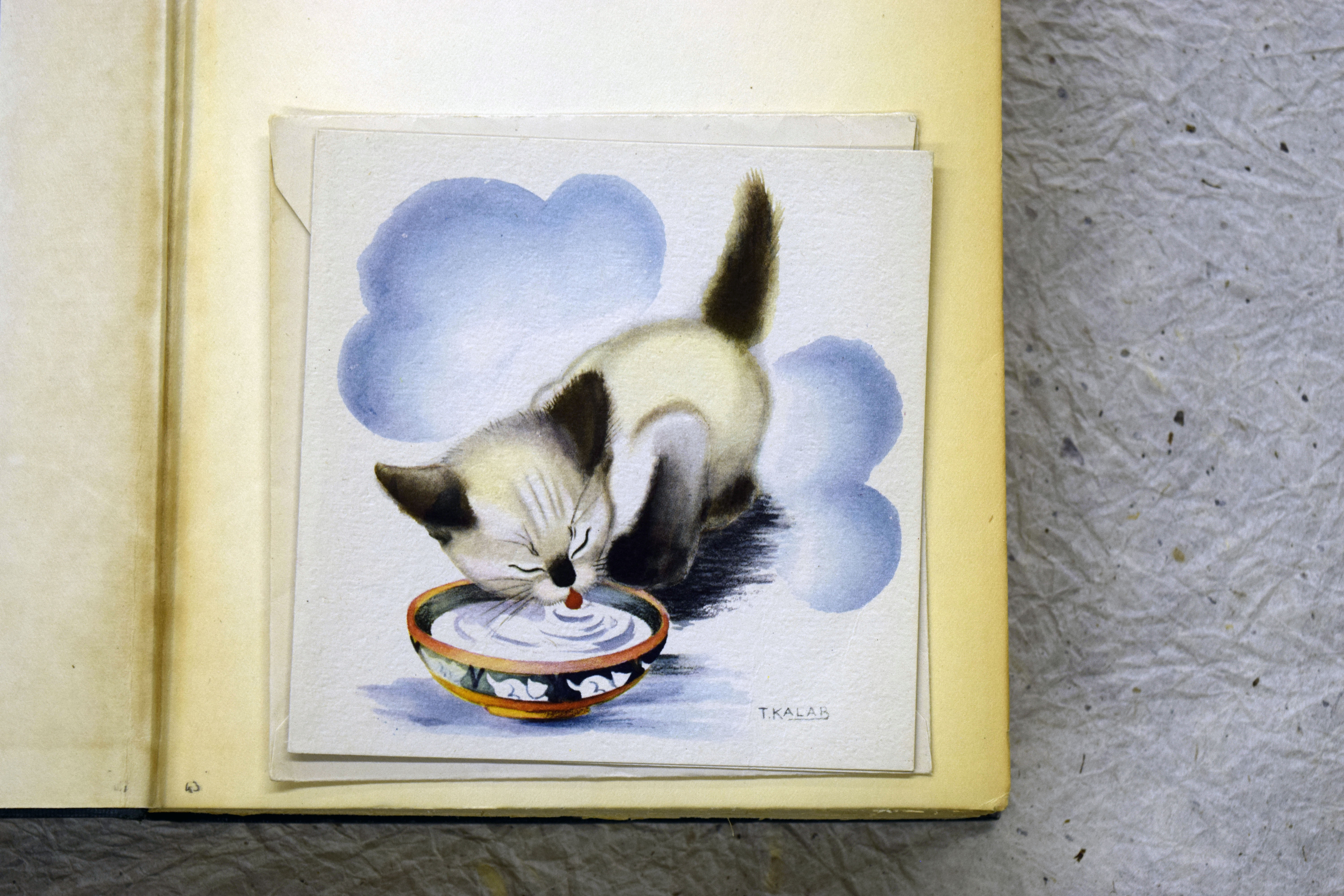 a card of a cute cat