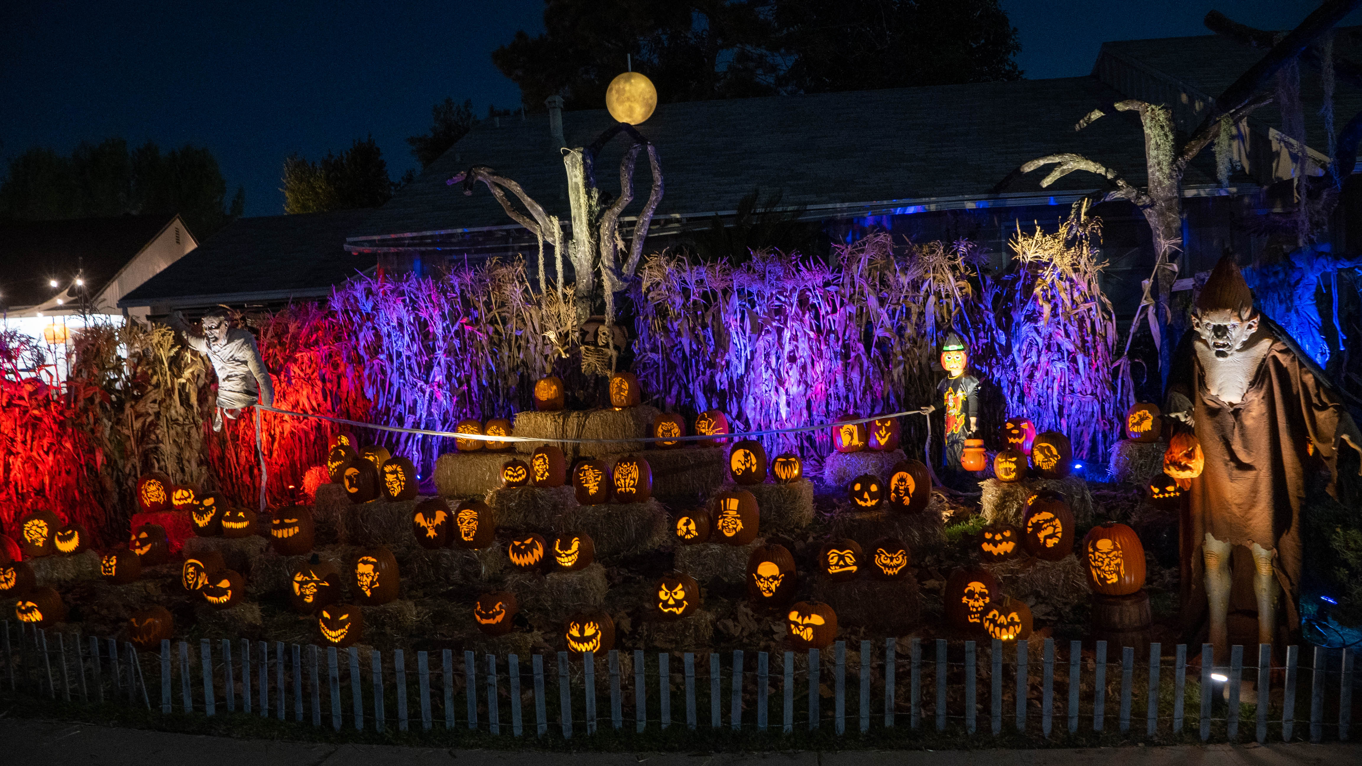 Wicked Pumpkin Hollow yard display, 2023