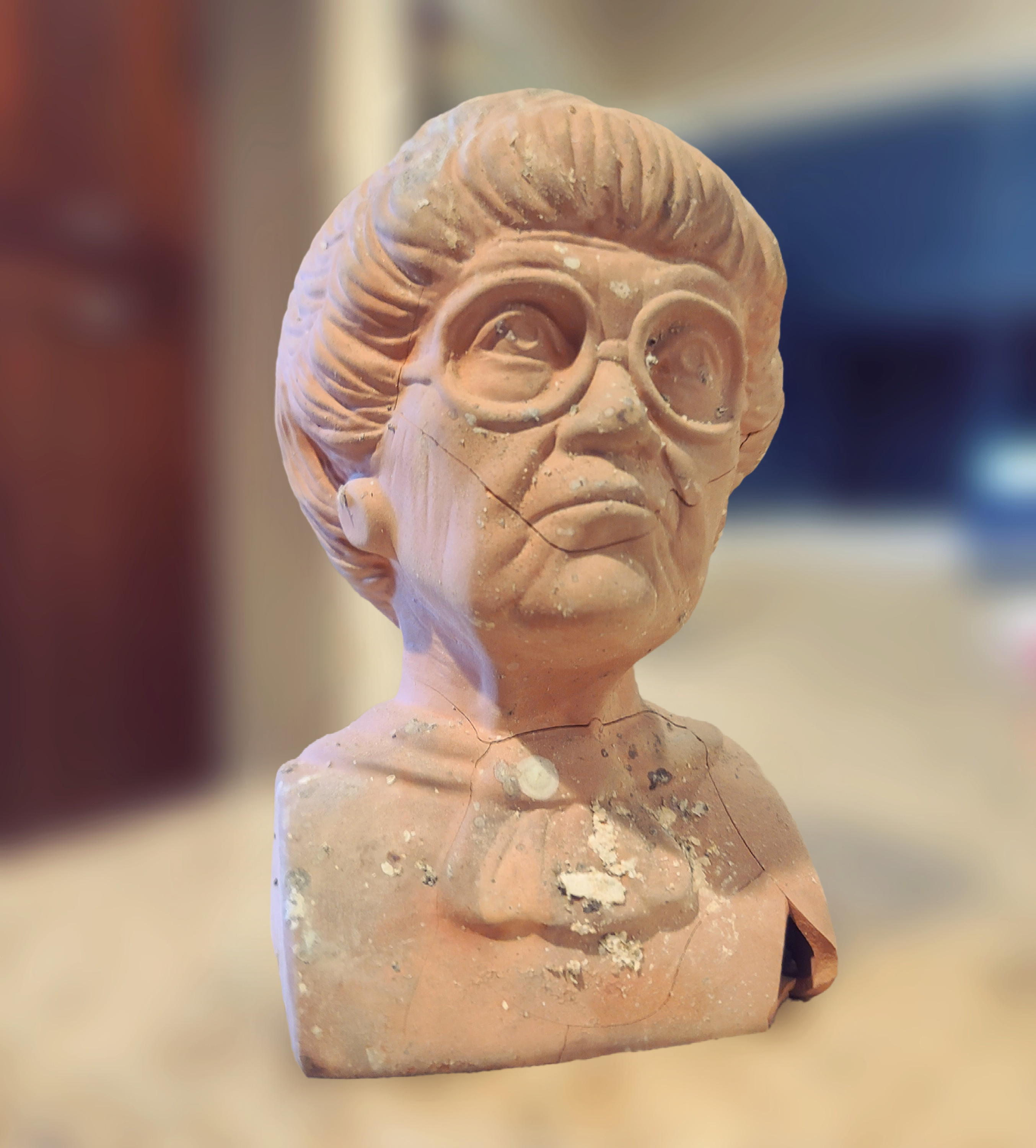 damaged chia pet head of Sophia