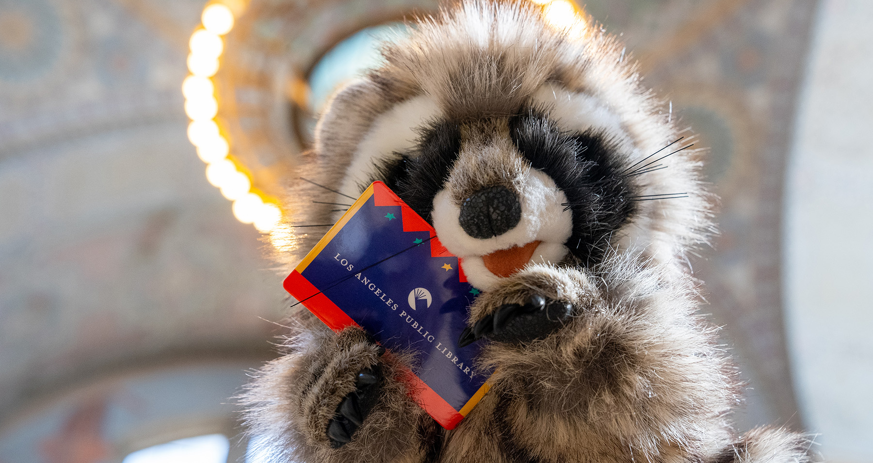 a raccoon puppet holding a library card in front of the Central Library Rotunda