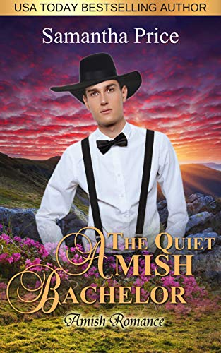 cover of a romance novel